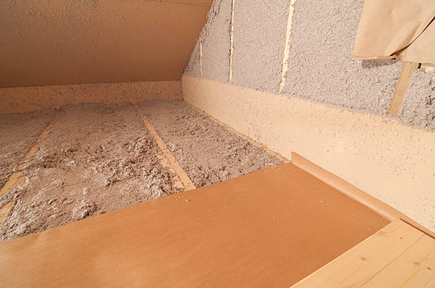 Best Local Insulation Services  in Dublin, VA